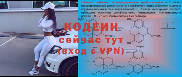 мдпв Тобольск