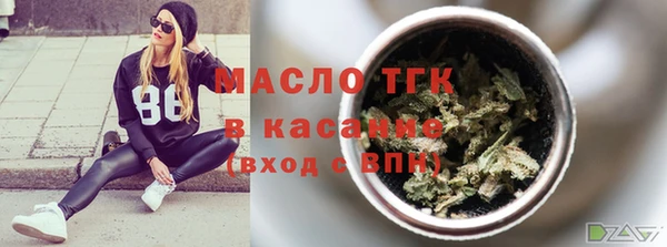молекула духа Вяземский