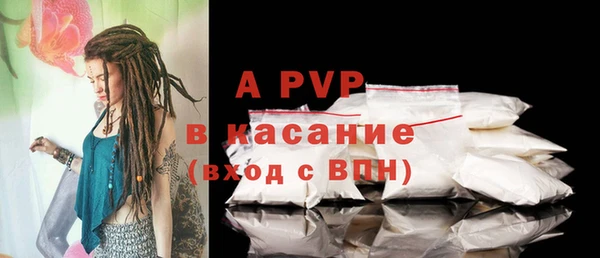 молекула духа Вяземский