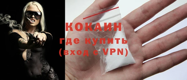 молекула духа Вяземский