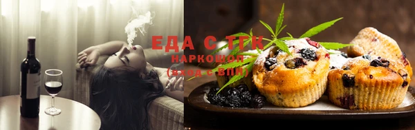 молекула духа Вяземский