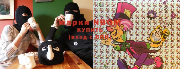 молекула духа Вяземский