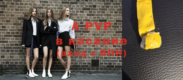 молекула духа Вяземский