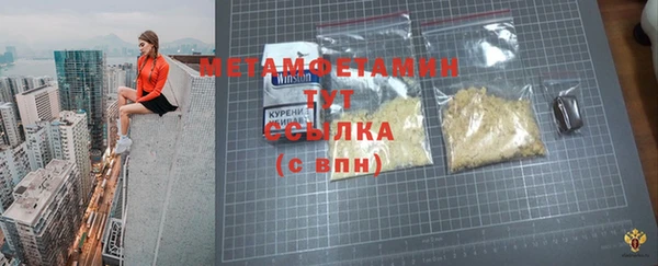 молекула духа Вяземский