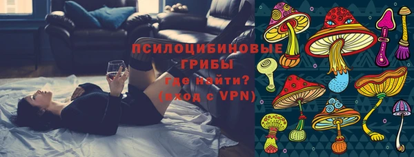 молекула духа Вяземский