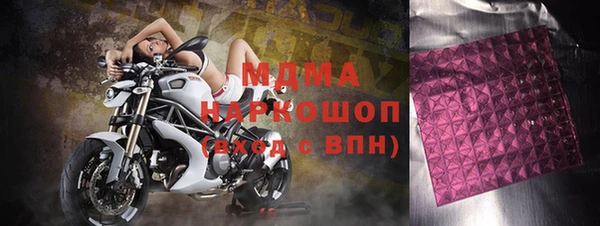 молекула духа Вяземский