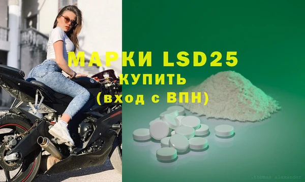 молекула духа Вяземский