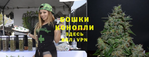 эйфоретик Вязники