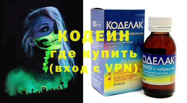 молекула духа Вяземский