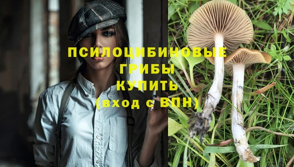 эйфоретик Вязники