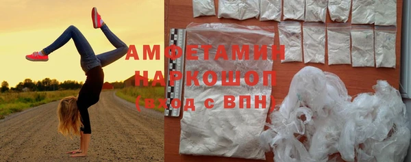 молекула духа Вяземский