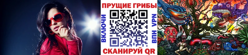 Галлюциногенные грибы Cubensis  Владикавказ 